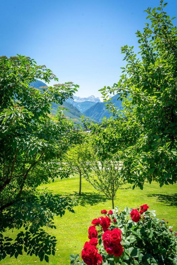 Lovely House With Mountain View & Big Garden In Holiday home Bad Aussee