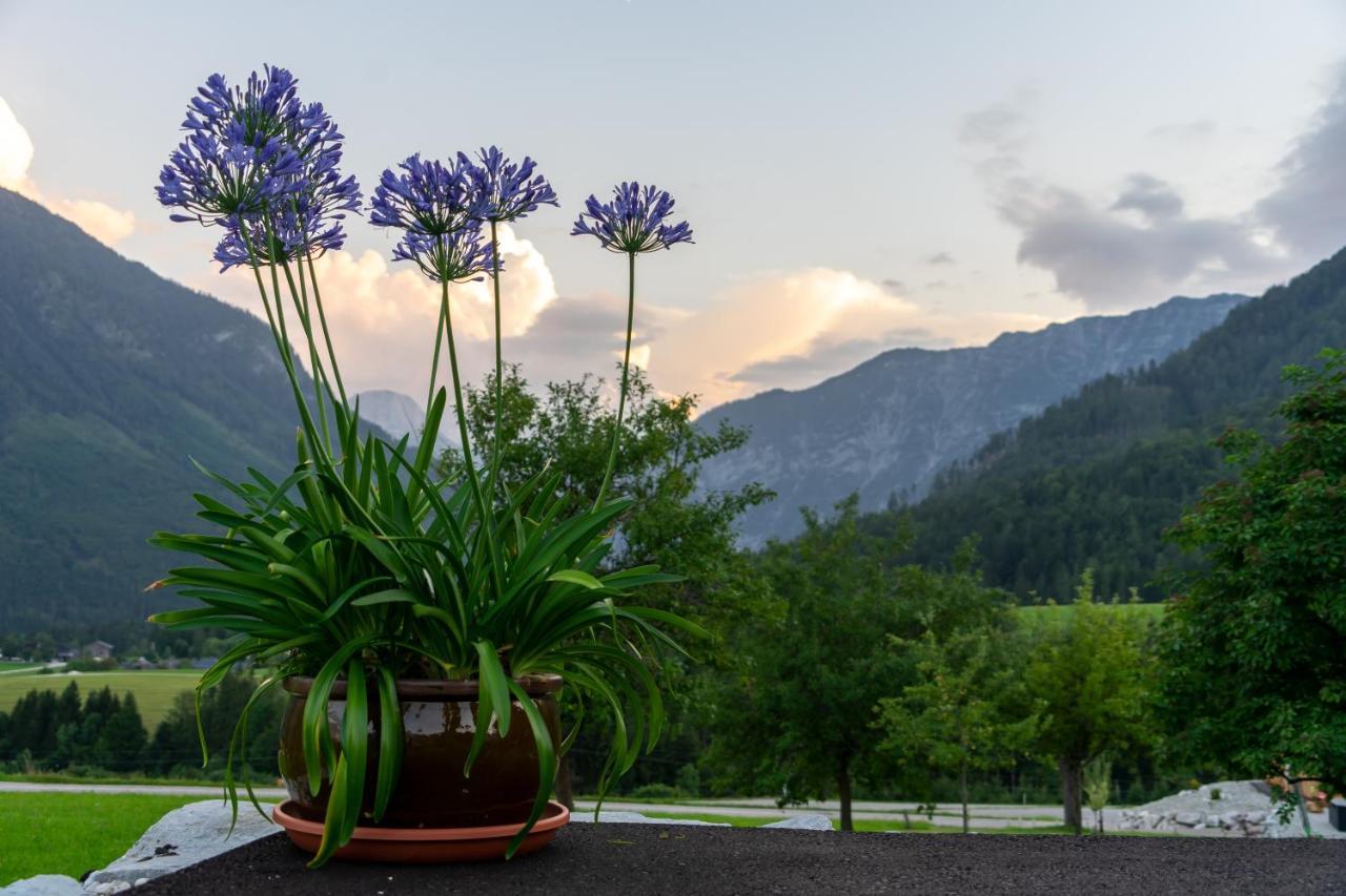Lovely House With Mountain View & Big Garden In Holiday home Bad Aussee