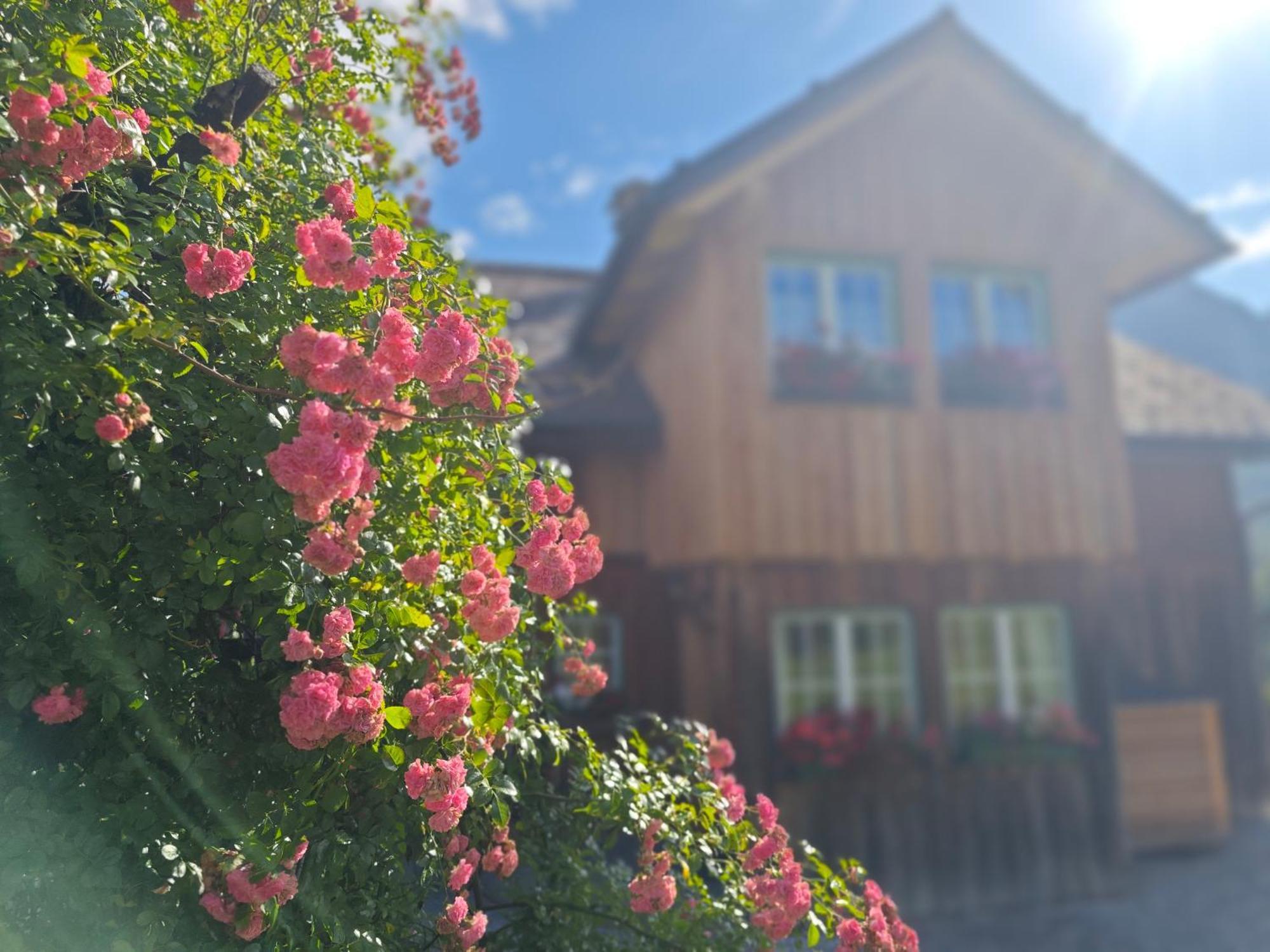 Lovely House With Mountain View & Big Garden In Holiday home *
