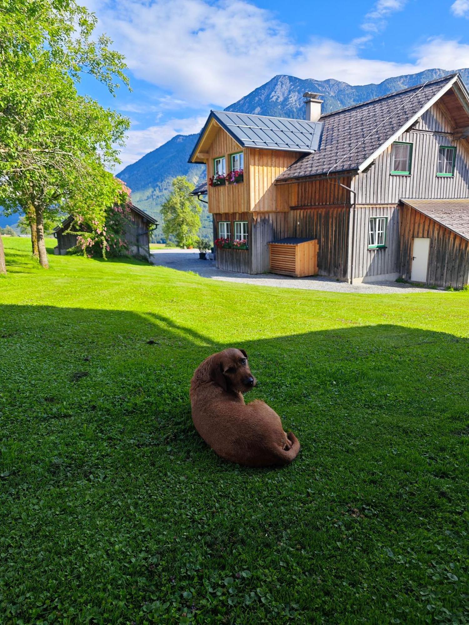 Lovely House With Mountain View & Big Garden In